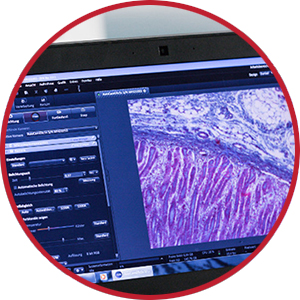 Microscopy Cameras and Software | CTK Instruments